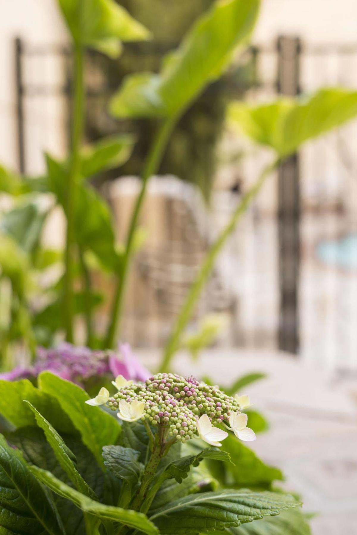 แอร์ส โฮเต็ล แมนฮัตตันบีช แอลเอเอกซ์ Hotel ฮอว์ธอร์น ภายนอก รูปภาพ